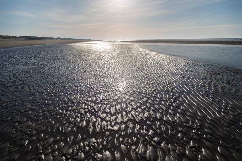 Ameland mei 2025-7