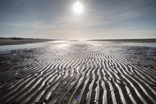 Ameland mei 2025-3