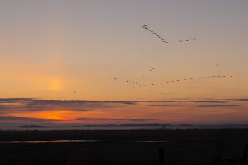 Ameland mei 2025-1