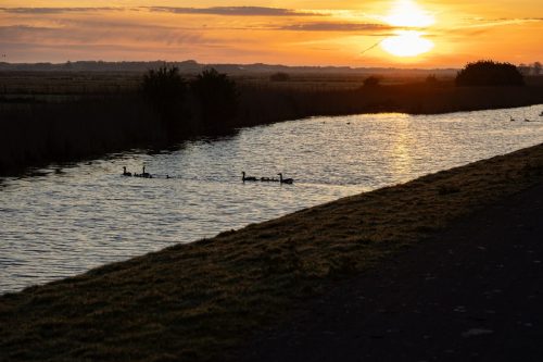 Ameland mei 2025-8